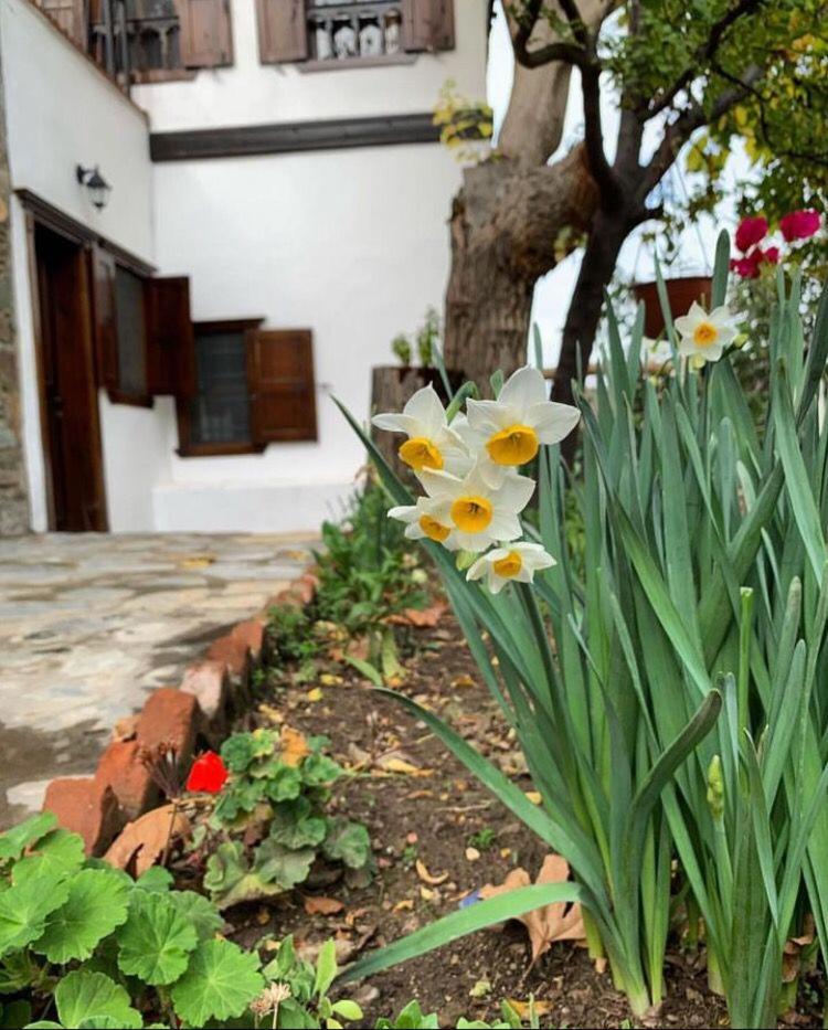 Hotel Sirince Bahce Selcuk