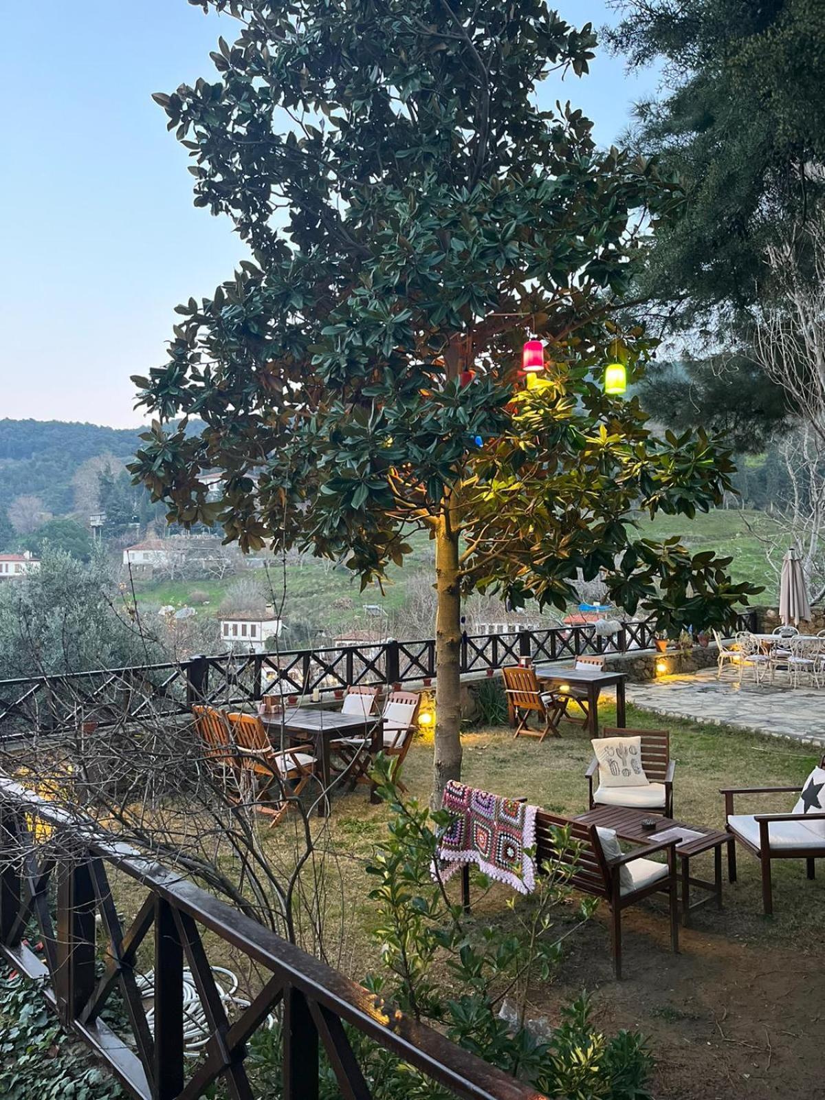Sirince Bahce Selcuk