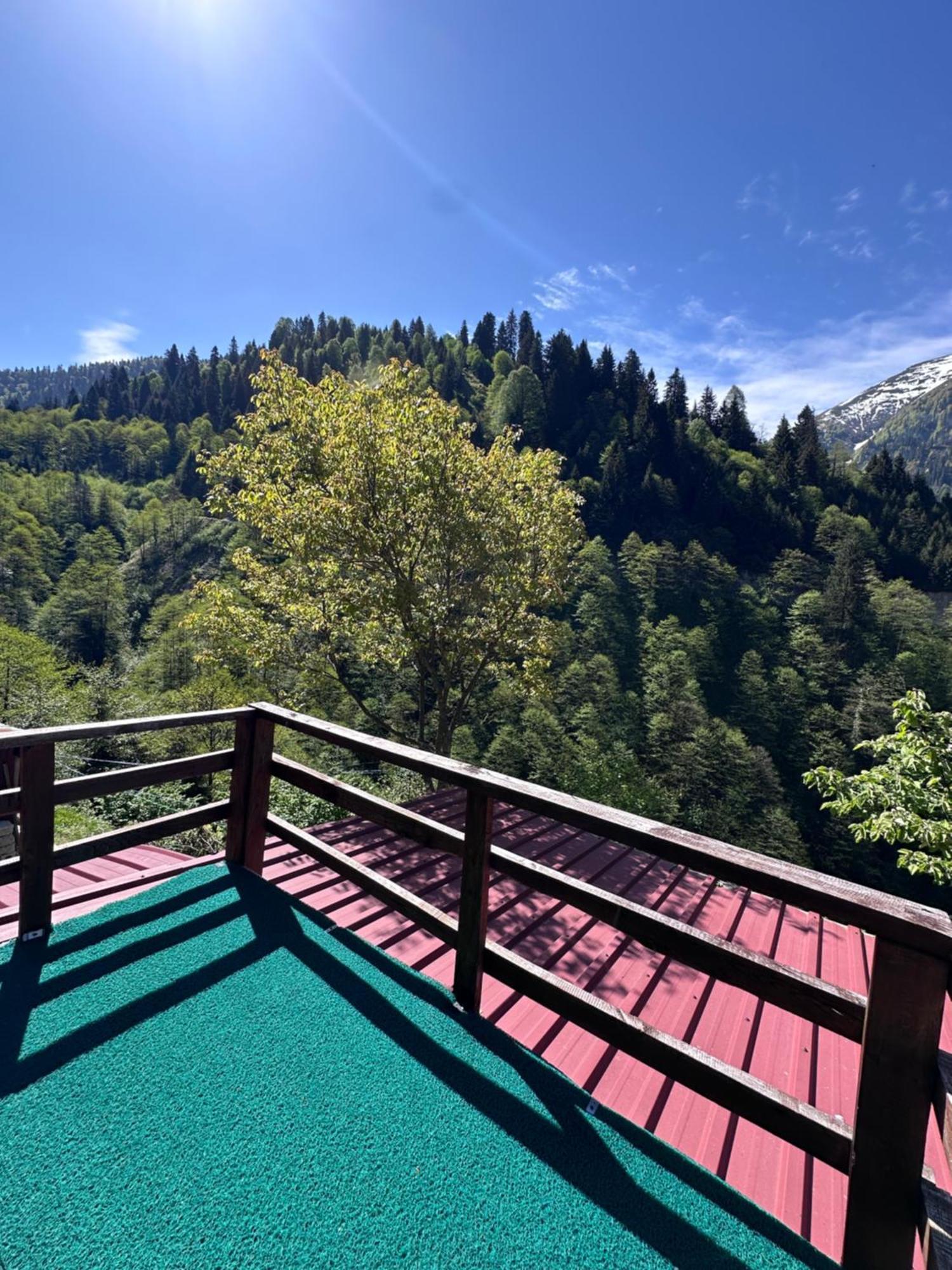 Dervisoglu Dag Evi