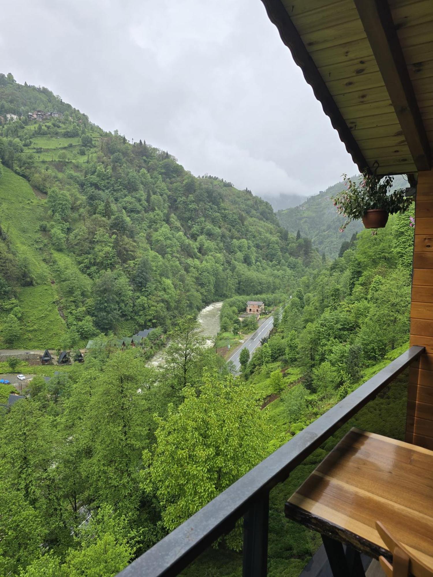 Hotel Lotus & *