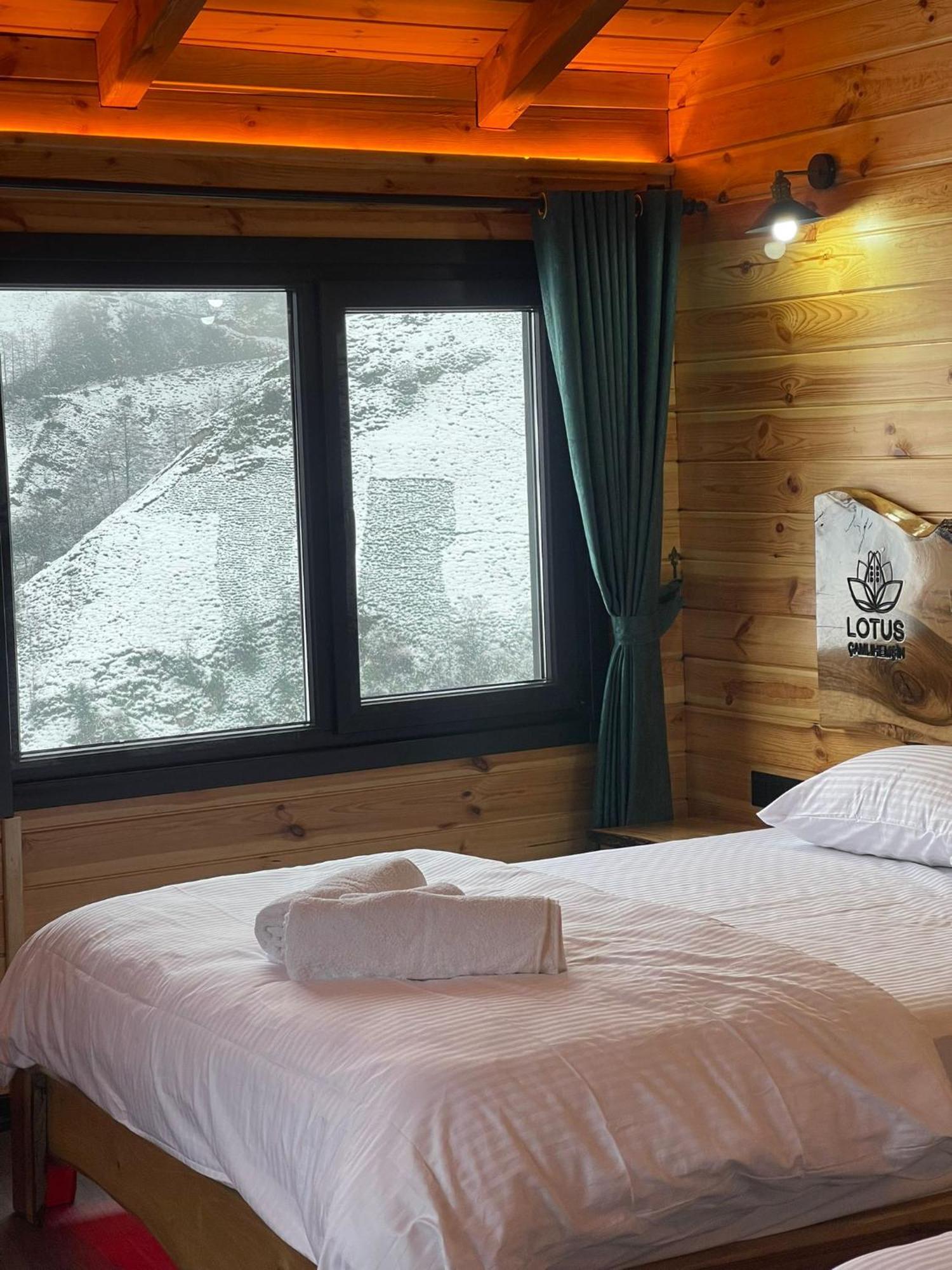 Hotel Lotus &