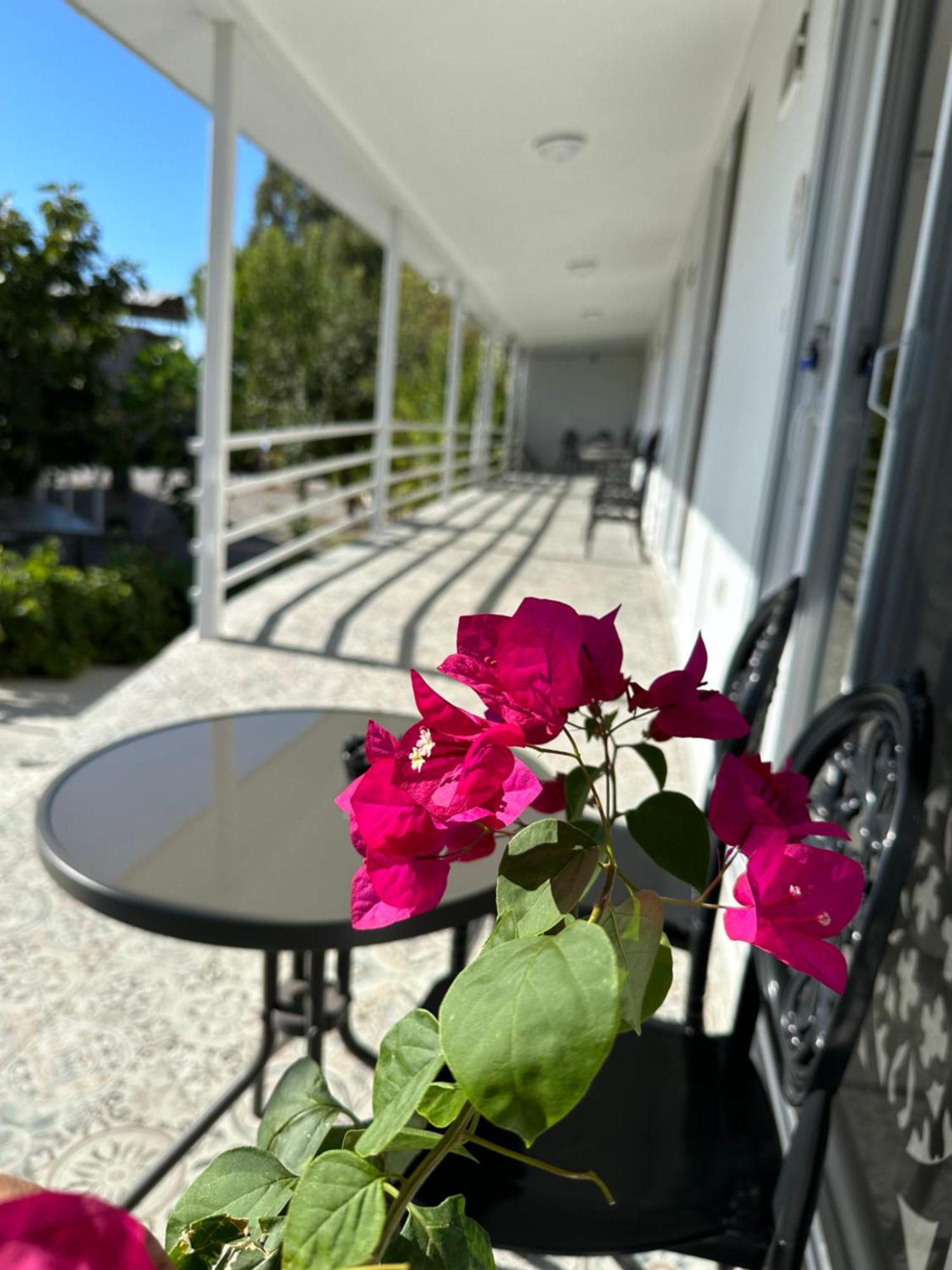 Homestay Airport Blue Eye House Ideal For Air Travellers 5 Km From Airport *
