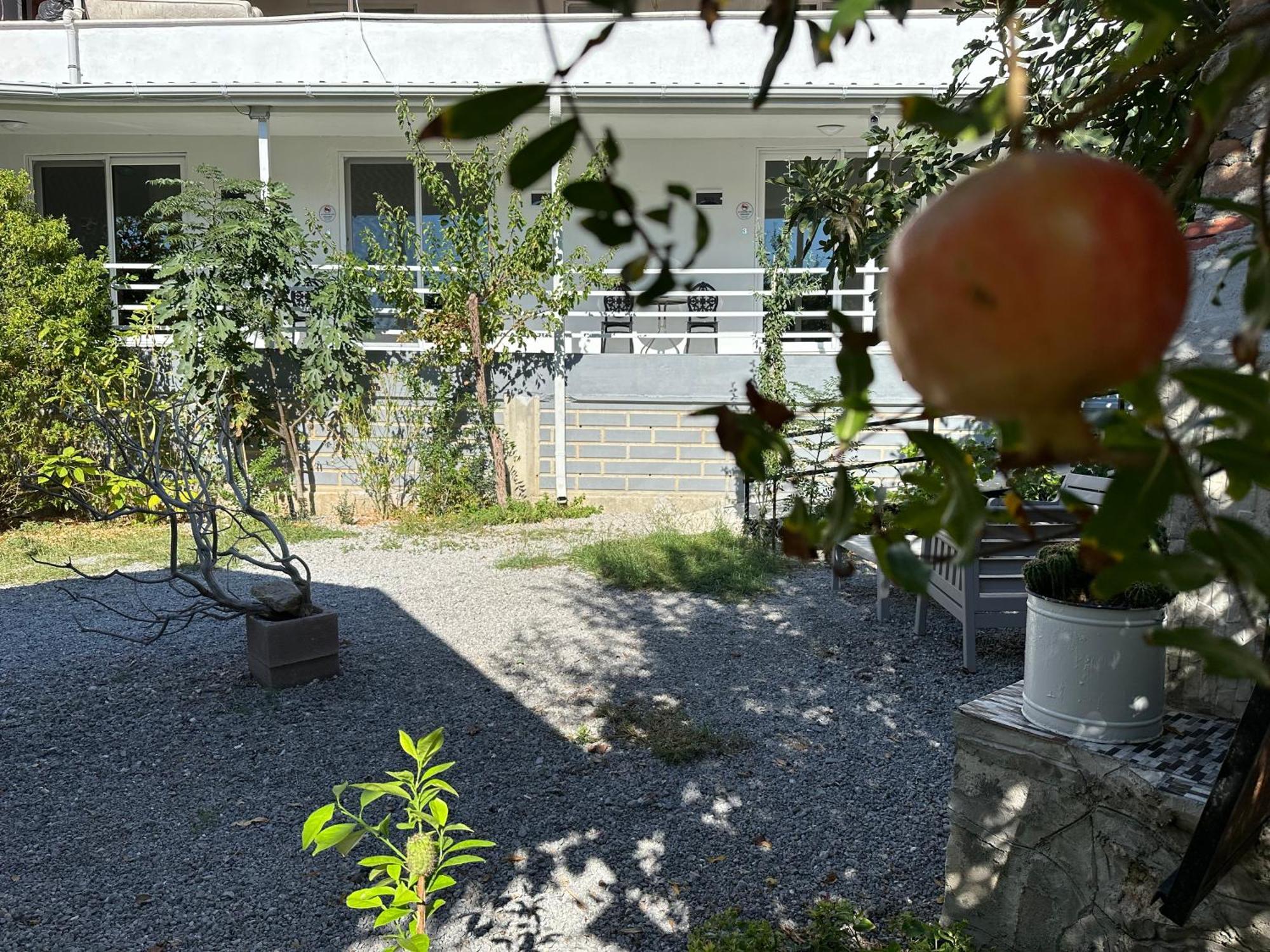 Airport Blue Eye House Ideal For Air Travellers 5 Km From Airport