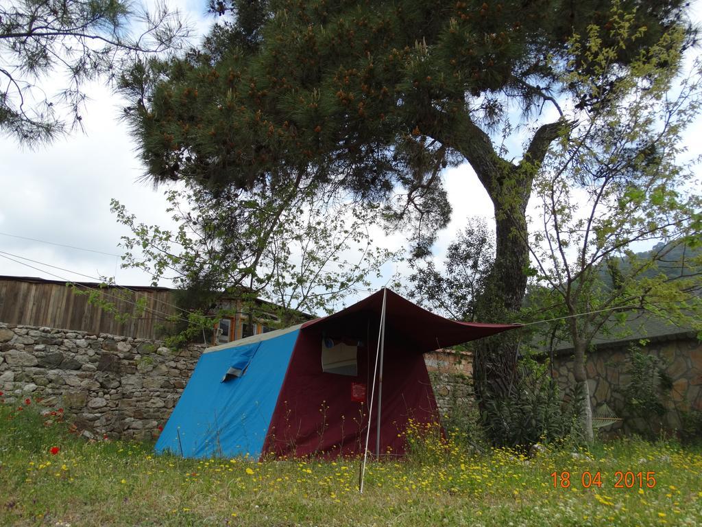 Nar Guest house *