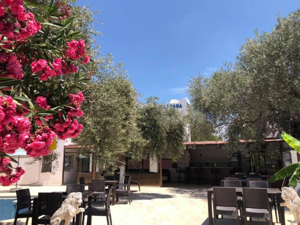 Ali Baba Hotel Gumbet