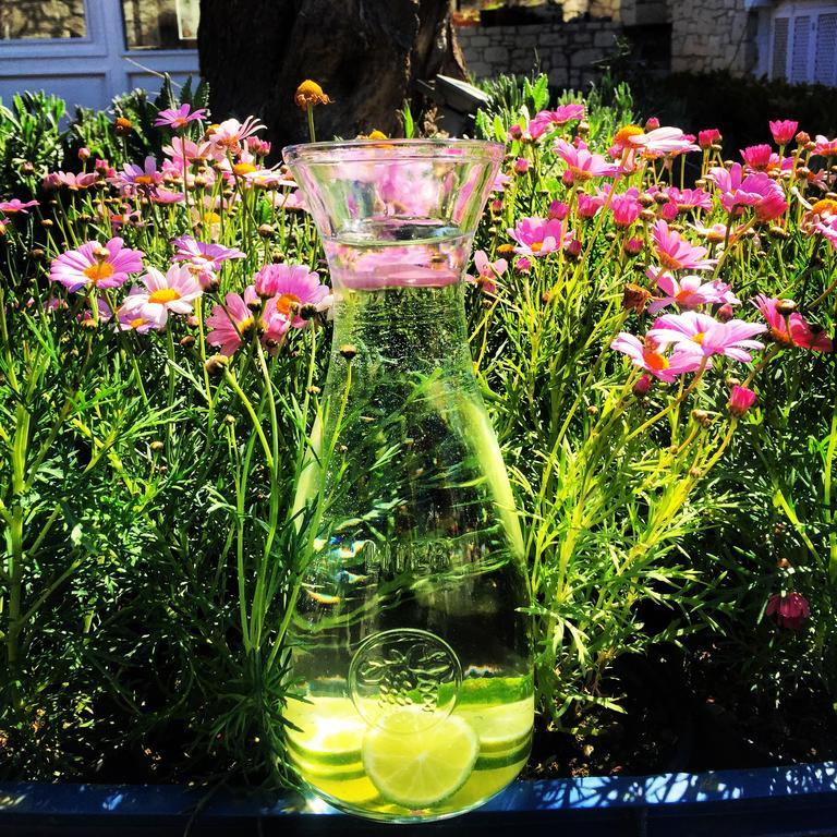 Boreas (adults Only) Alacati