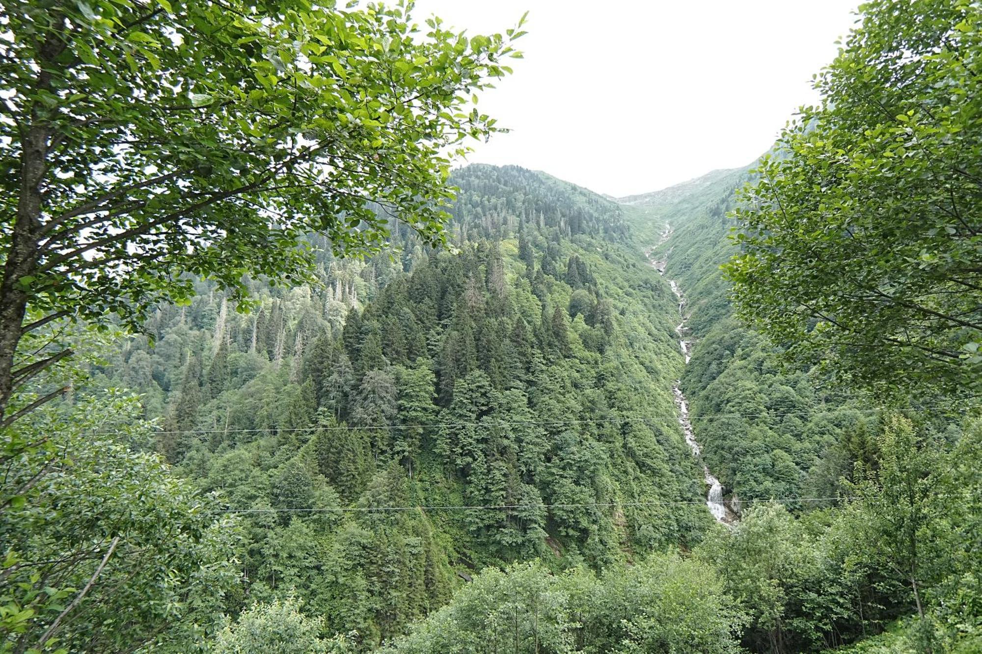 Palazzo 4* Ayder Yaylasi