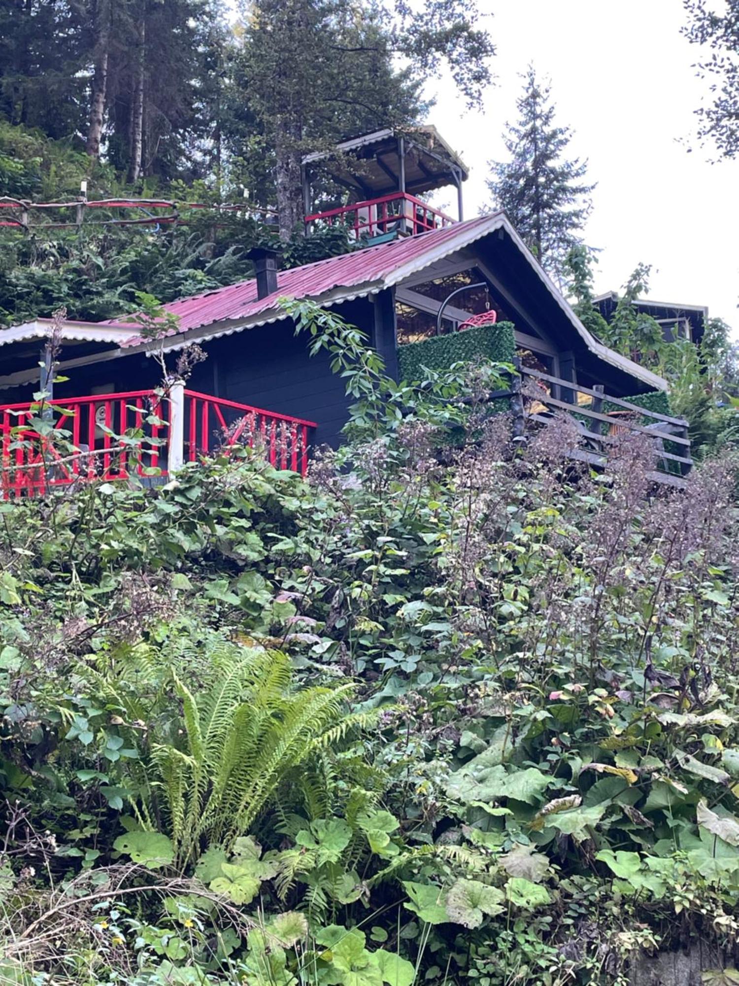 Chalet Gueven Dag Evi Ayder Yaylasi
