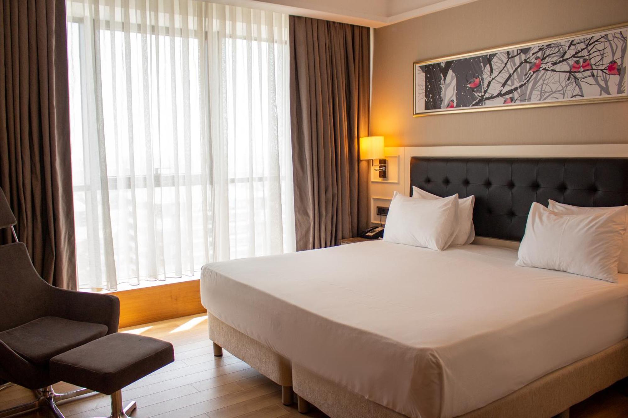 Hotel Radisson Blu Hotel,