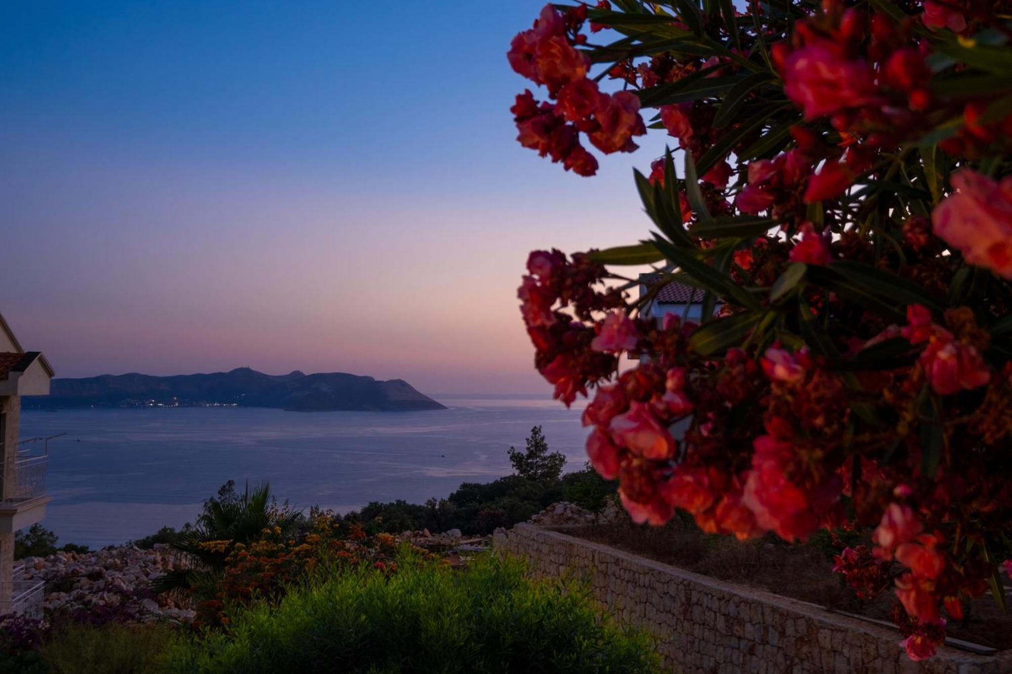 Villa White Garden *