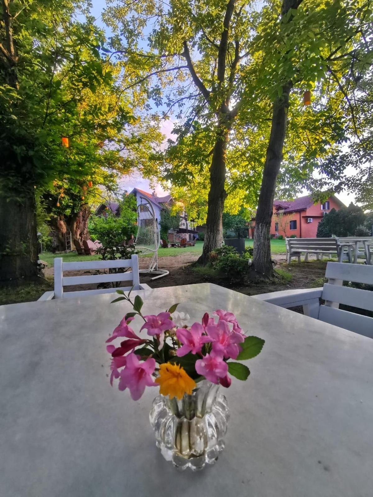 Kirkpinar Homestay Sapanca