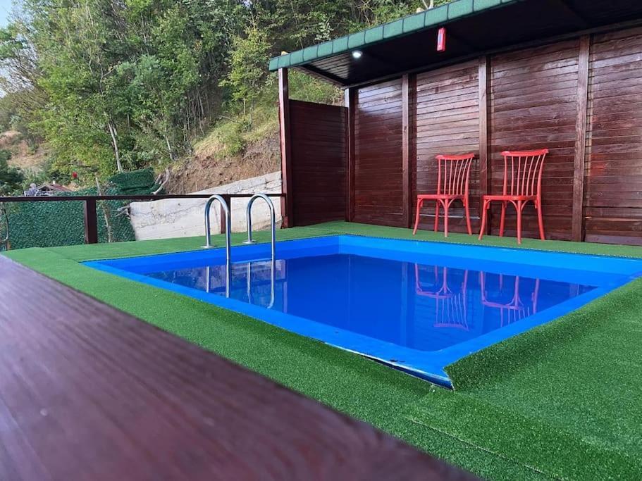 Shark Seaview Apartment *