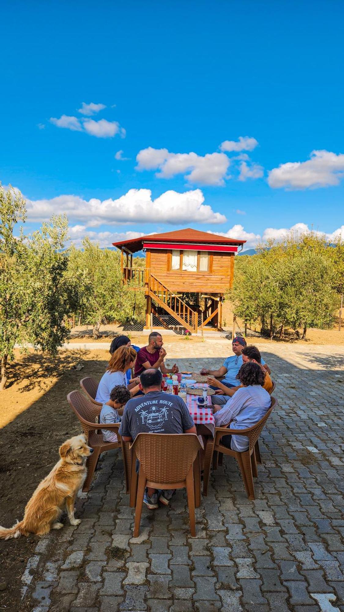 Campsite Oli & Istanbul