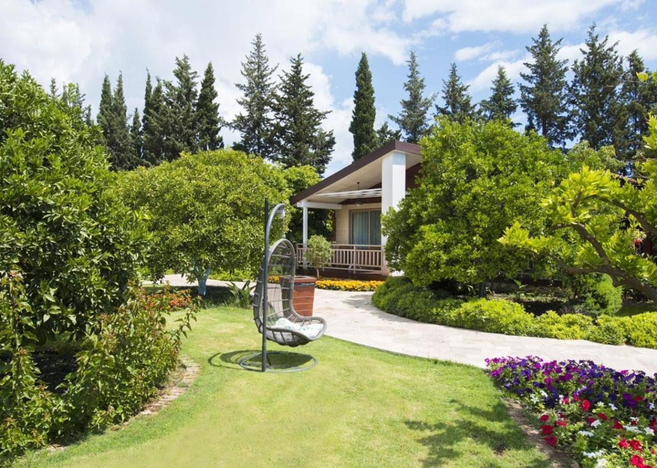 Kimera Lounge Boutique & Resort 2*