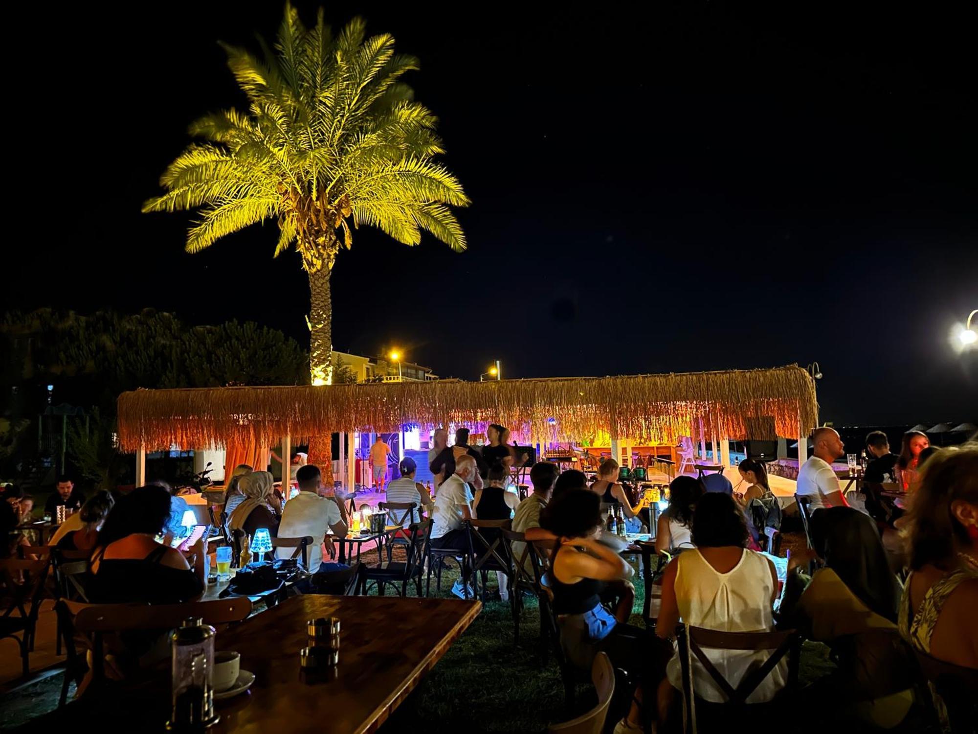 Hotel Palm