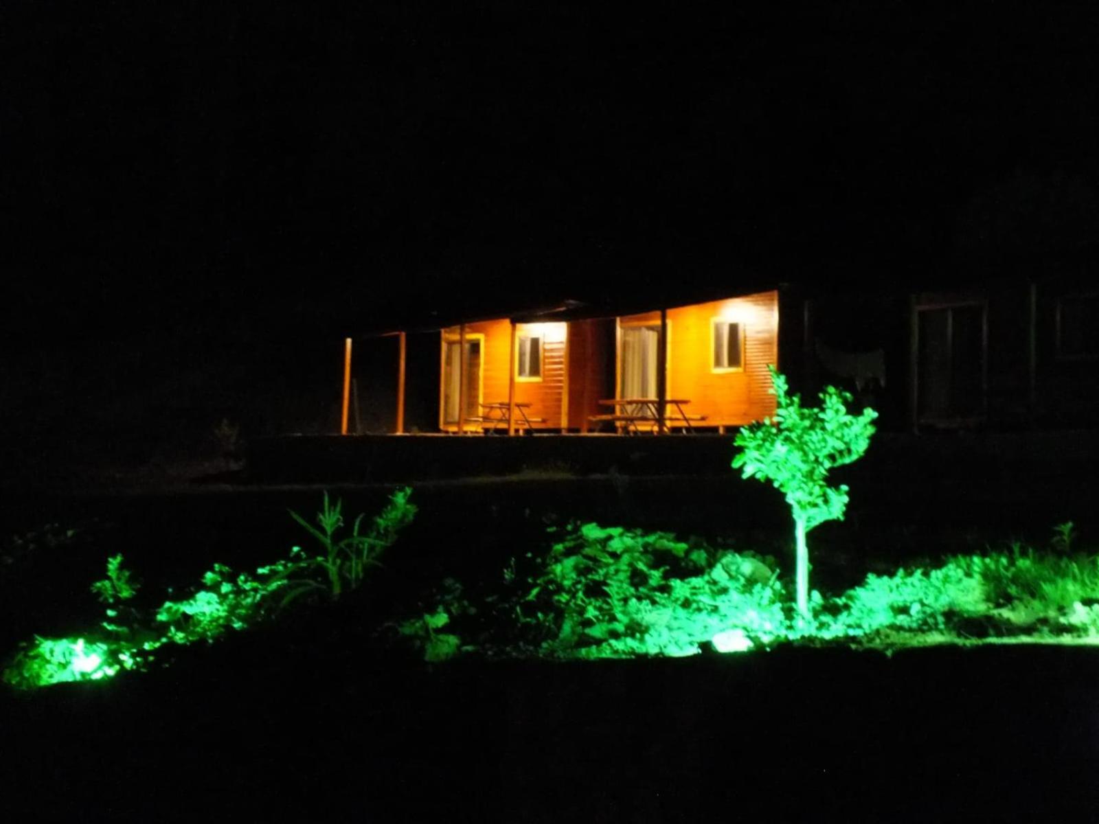 Olimpos Altun
