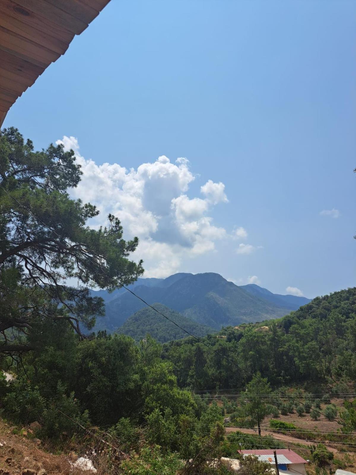 Olimpos Altun