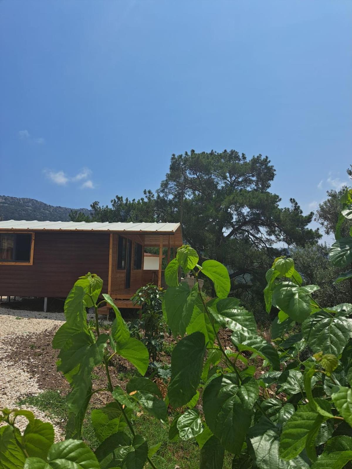 Olimpos Altun Bed & Breakfast