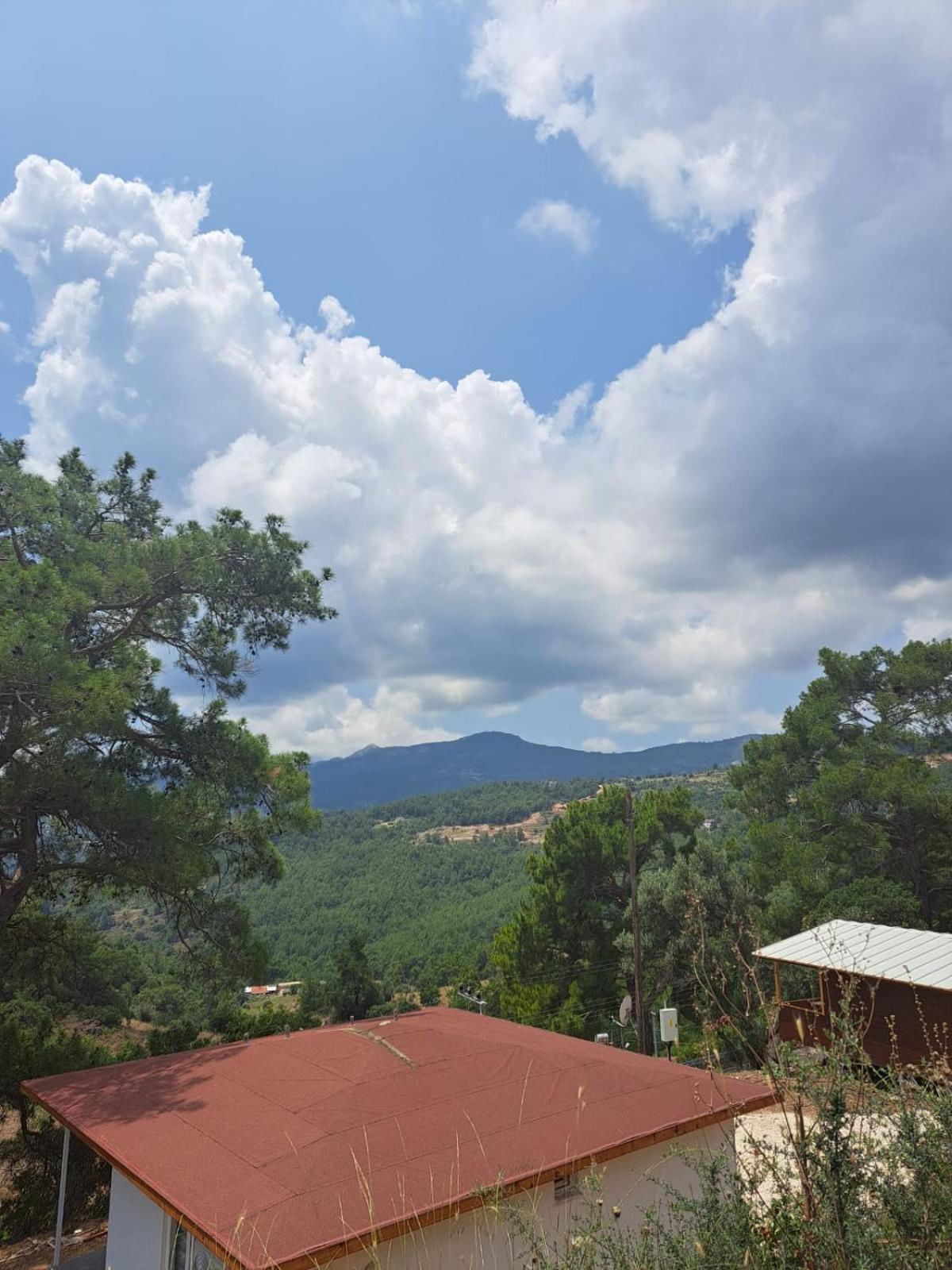Olimpos Altun Bed & Breakfast *