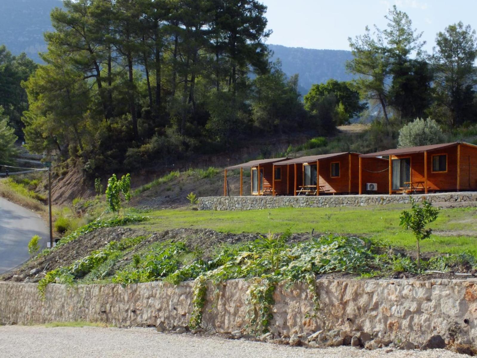 Olimpos Altun Bed & Breakfast