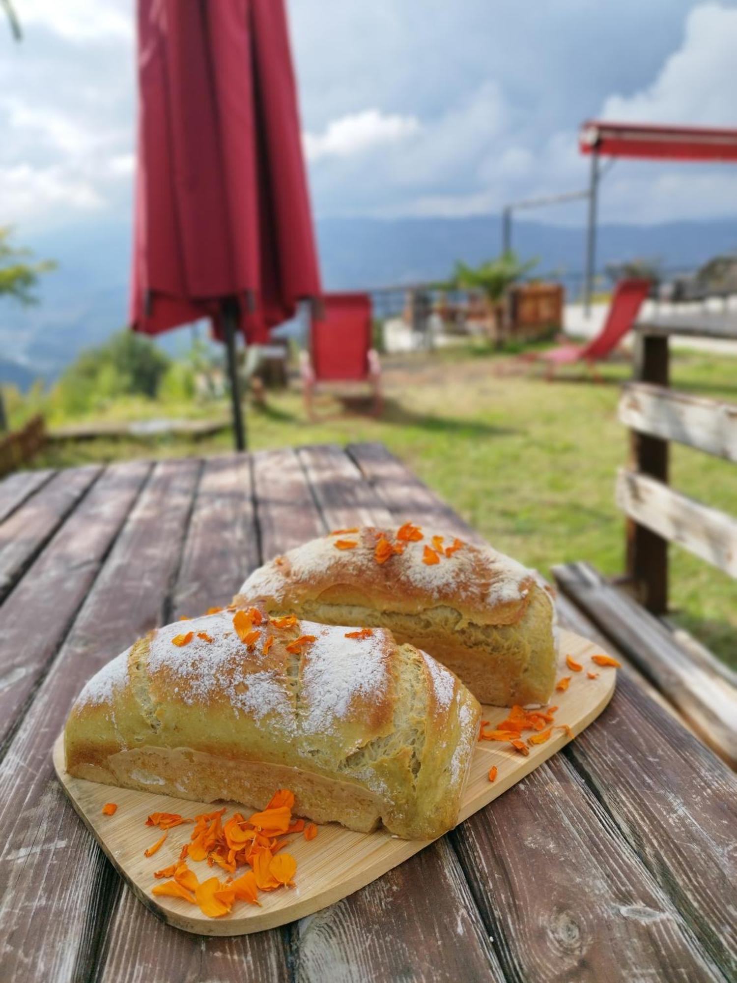 Hayat Oksijen Ordu