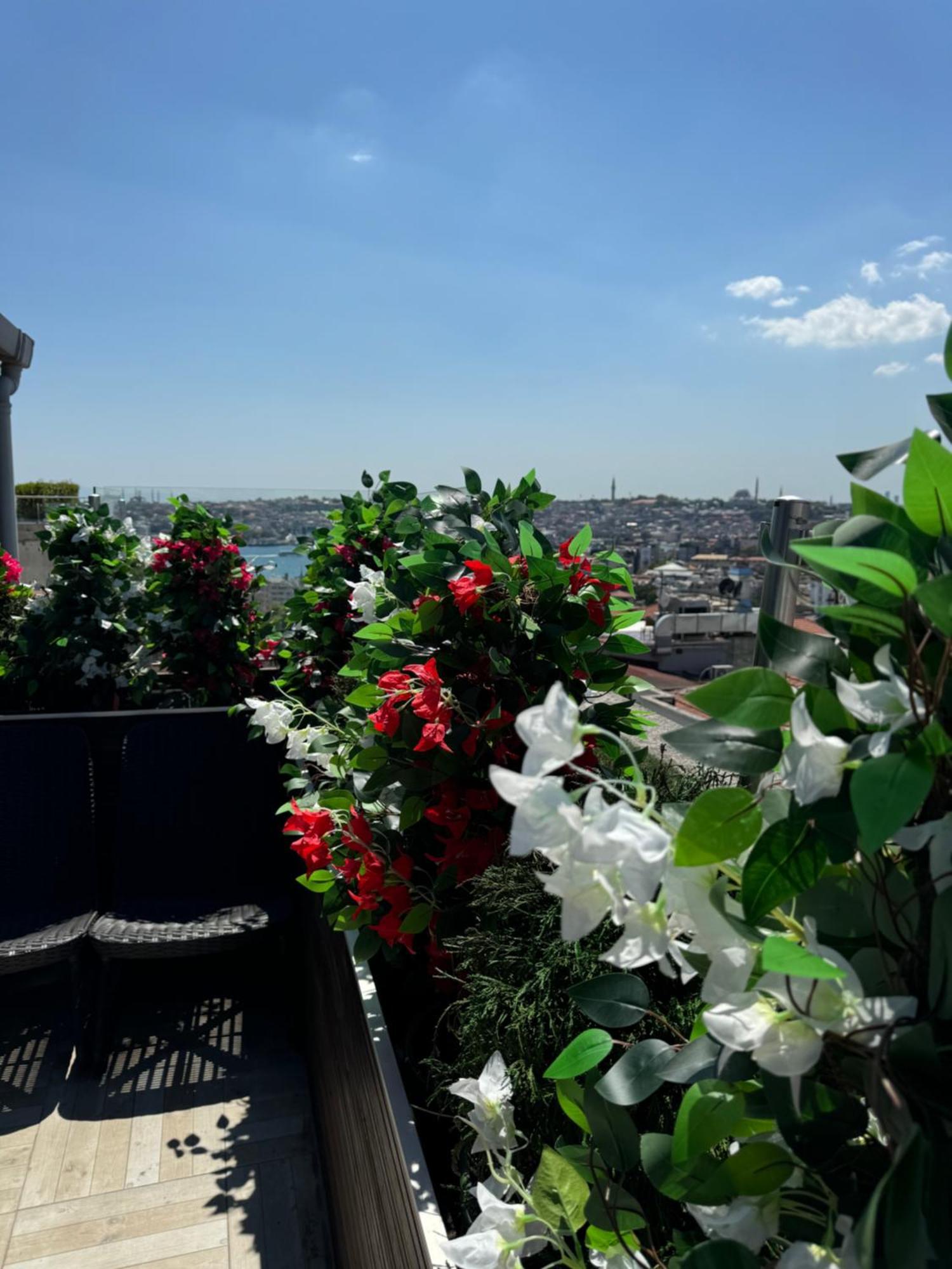 Lord Morgan & Exclusive Design Cihangir 2*