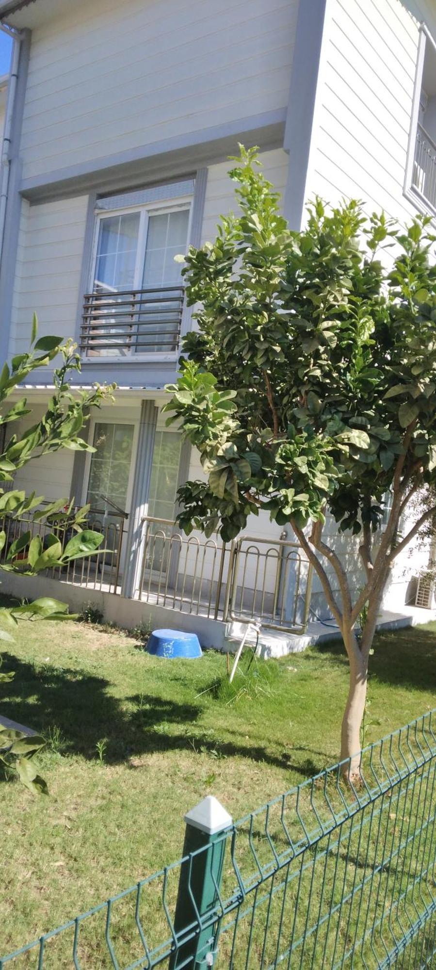 Villalemoon Villa *
