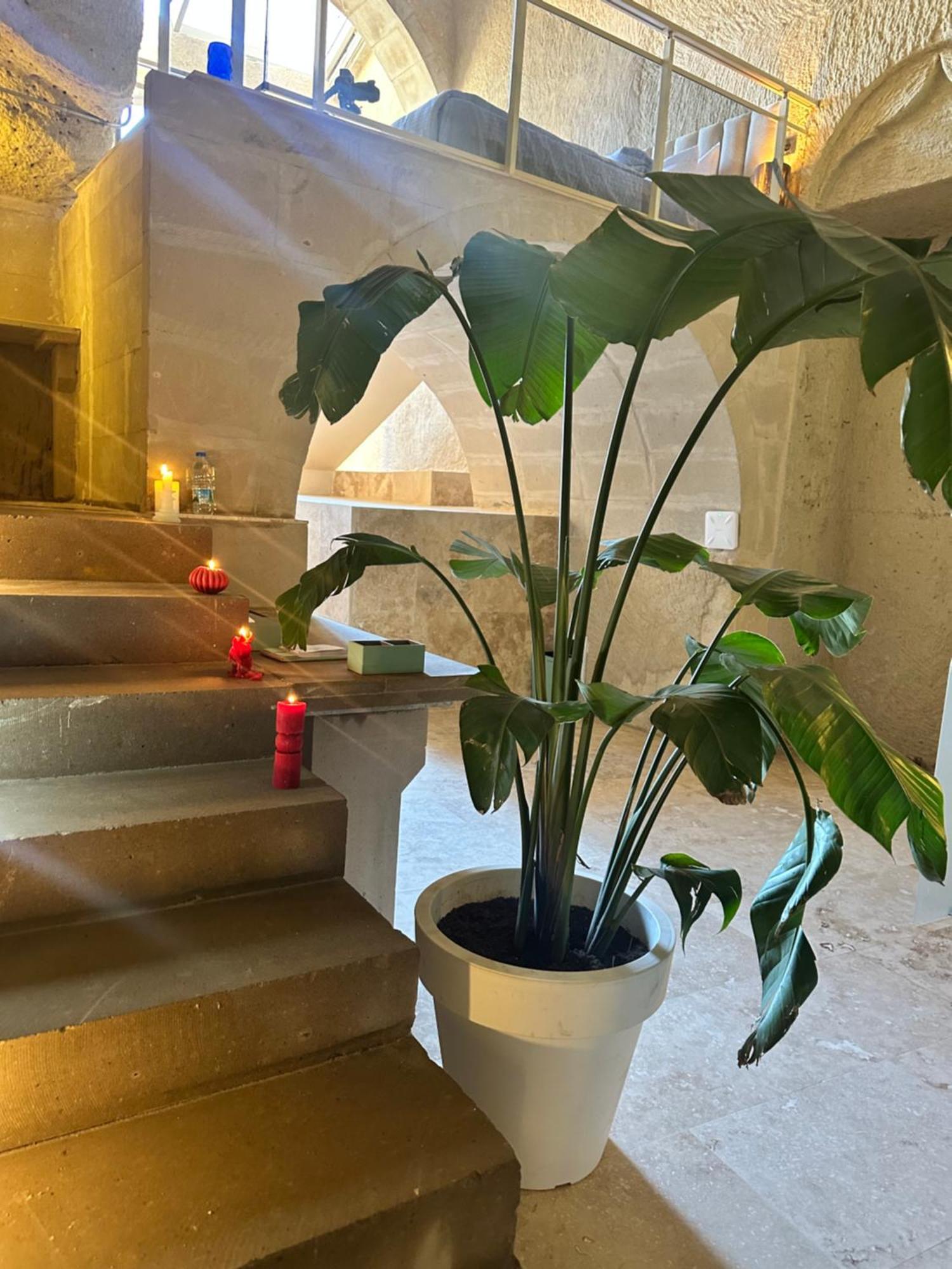 Hotel Be Still Alexa Smart Luxury Escape Adults Only *
