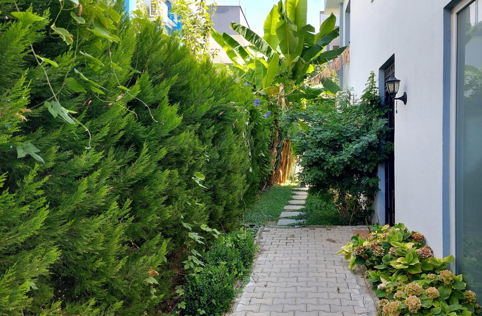 Aparthotel Palmiyem