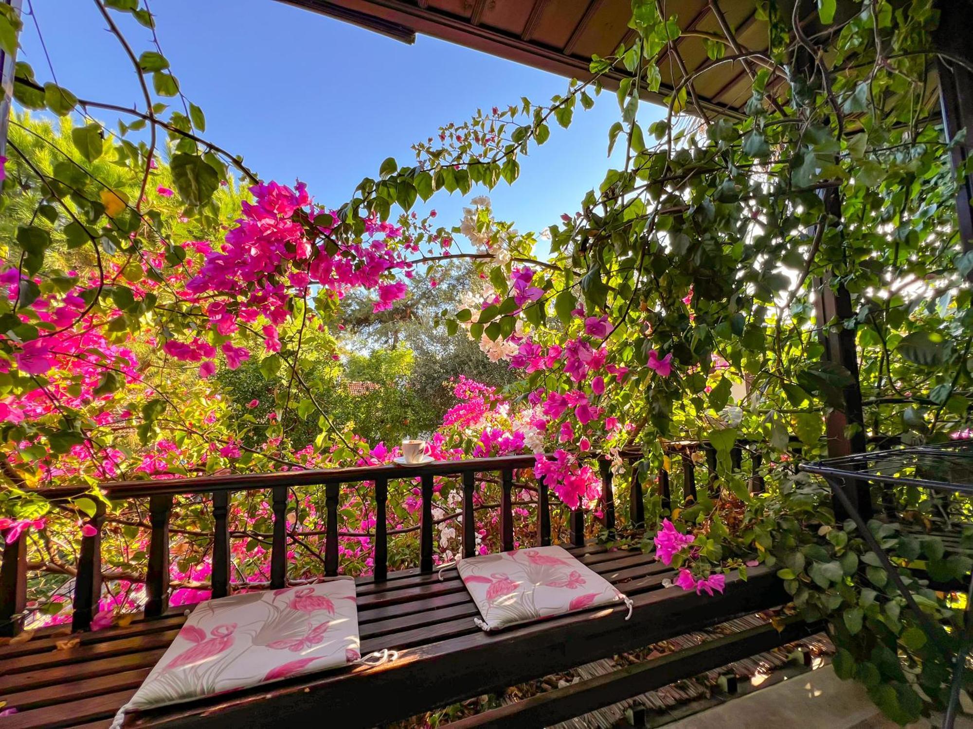 Apartment Liya Boutique &