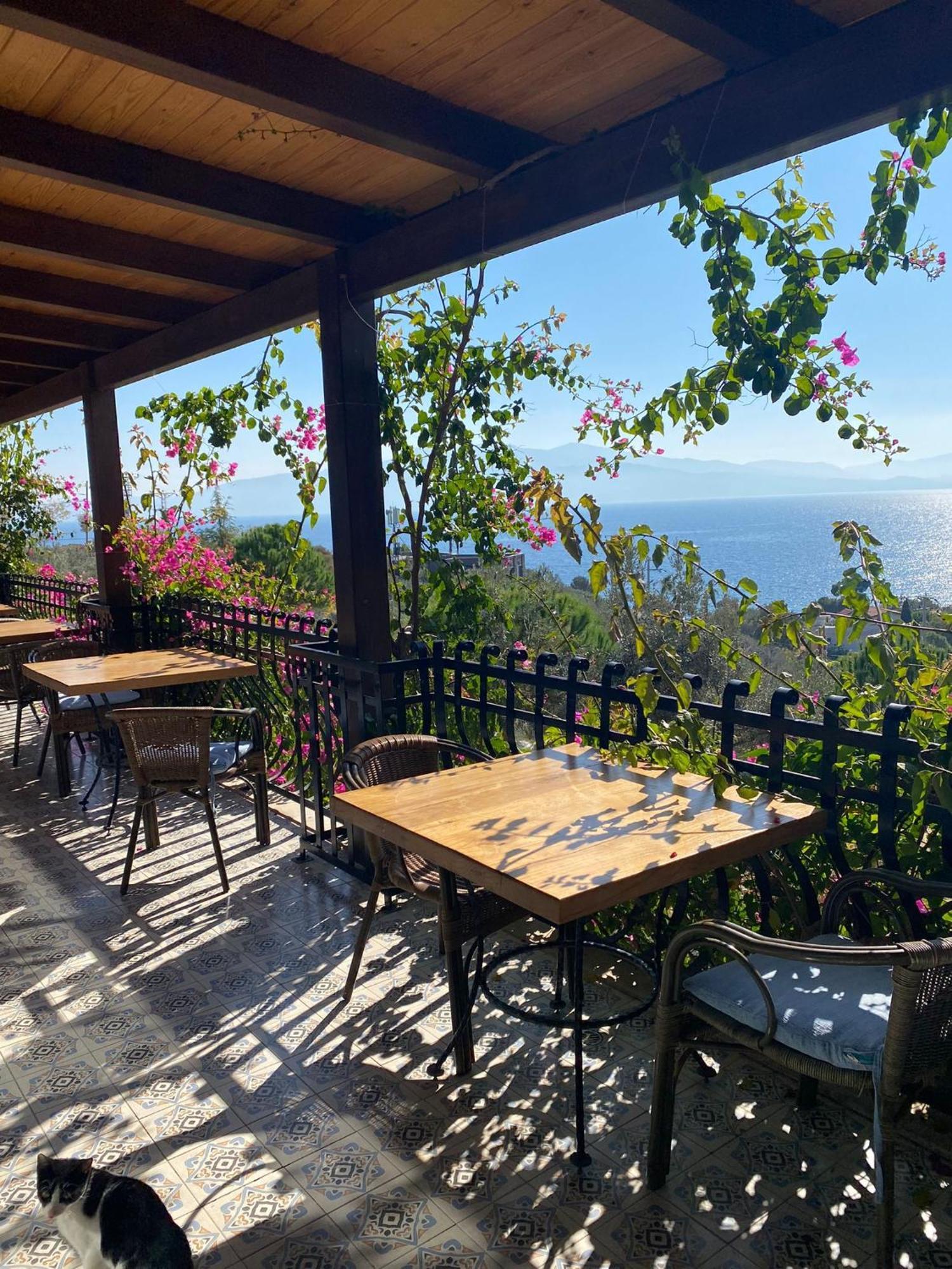 Assos Longevity Hotel Sokakagzi