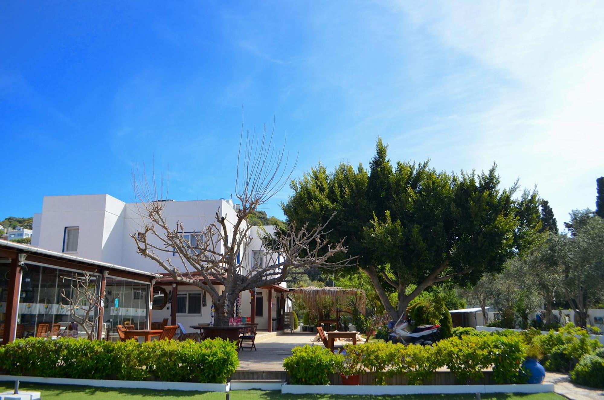 Campsite Yueksel Tiny House Bodrum