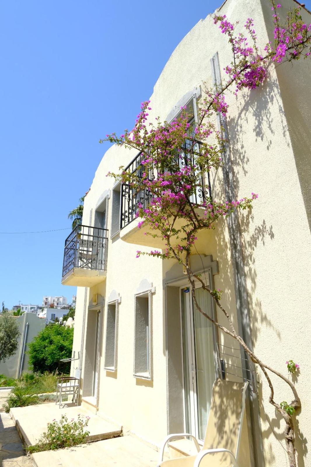 Phoenix Sun Bodrum