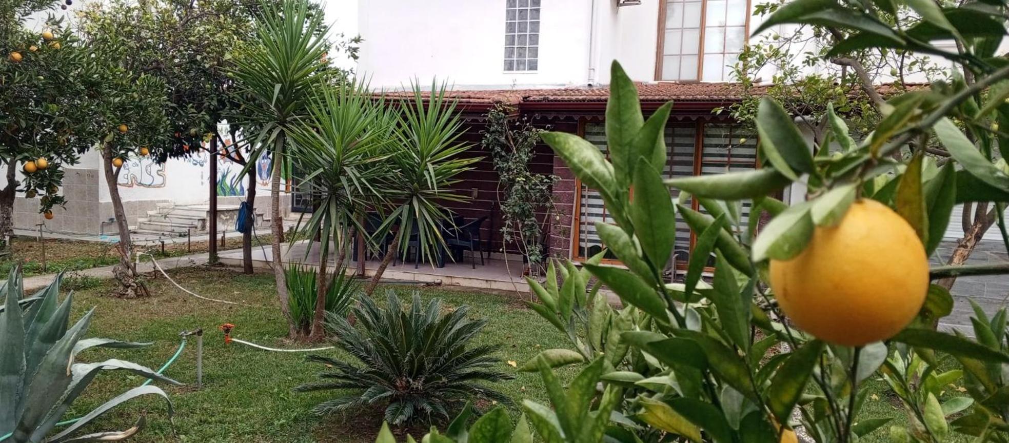 Holiday home Beyazit *