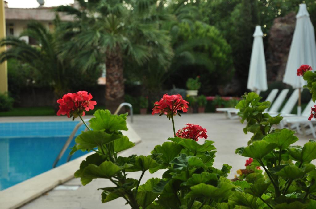 Palm Court 3* Ayvalik