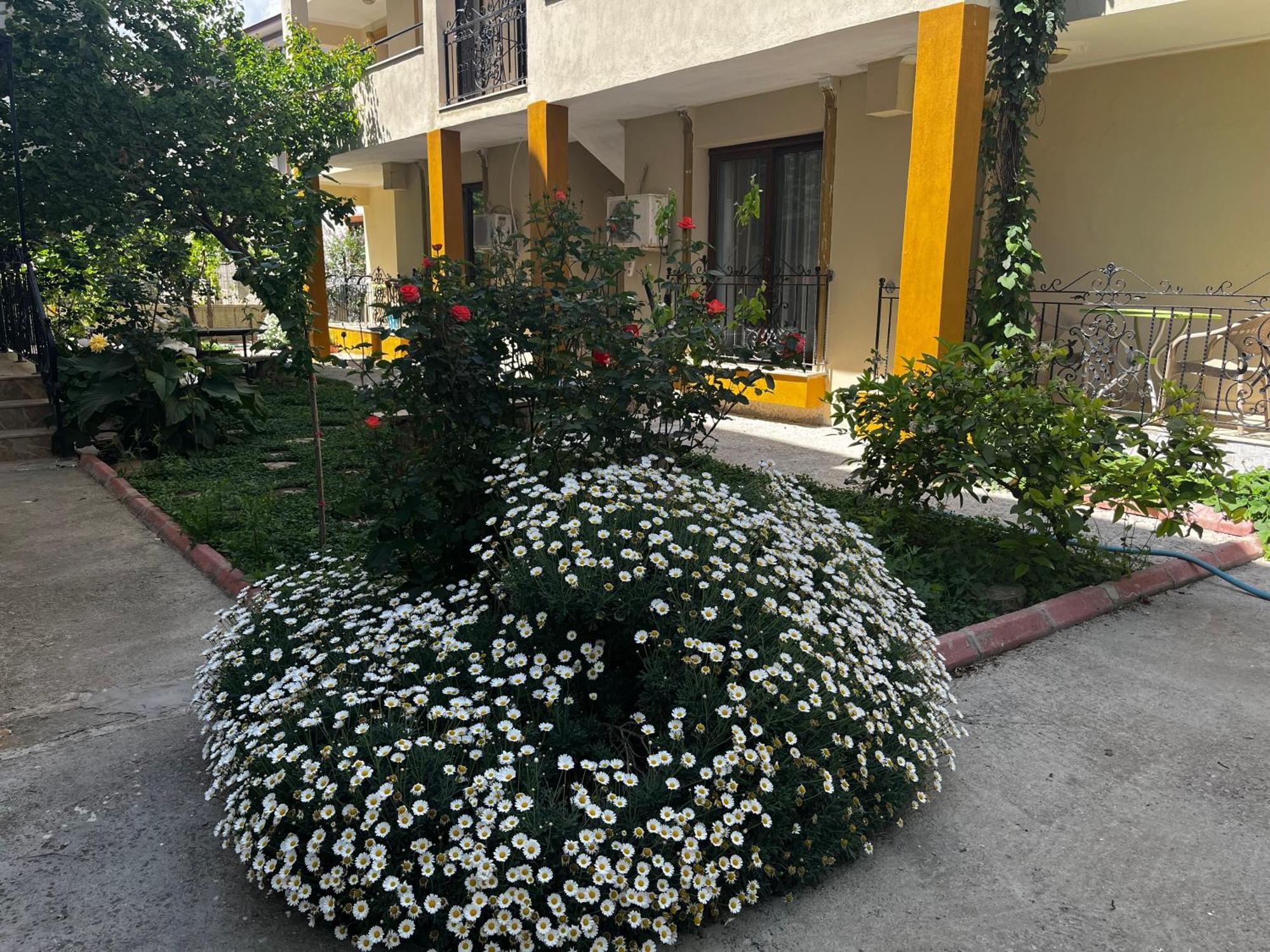 Grand Teoshan Ve Apartment