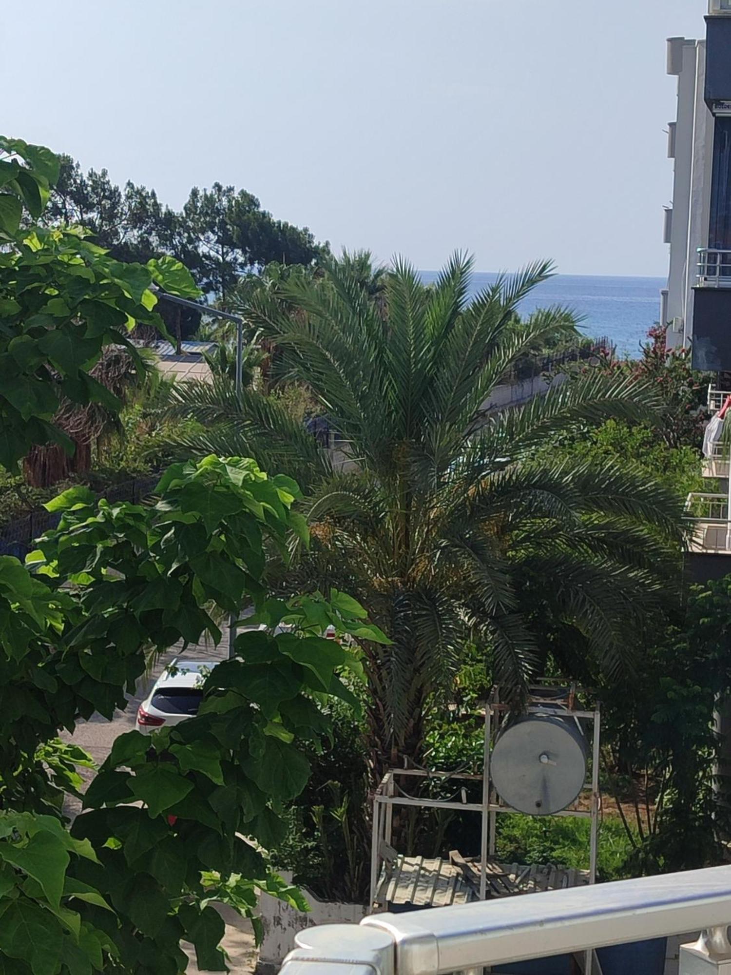 Yagmur * Anamur