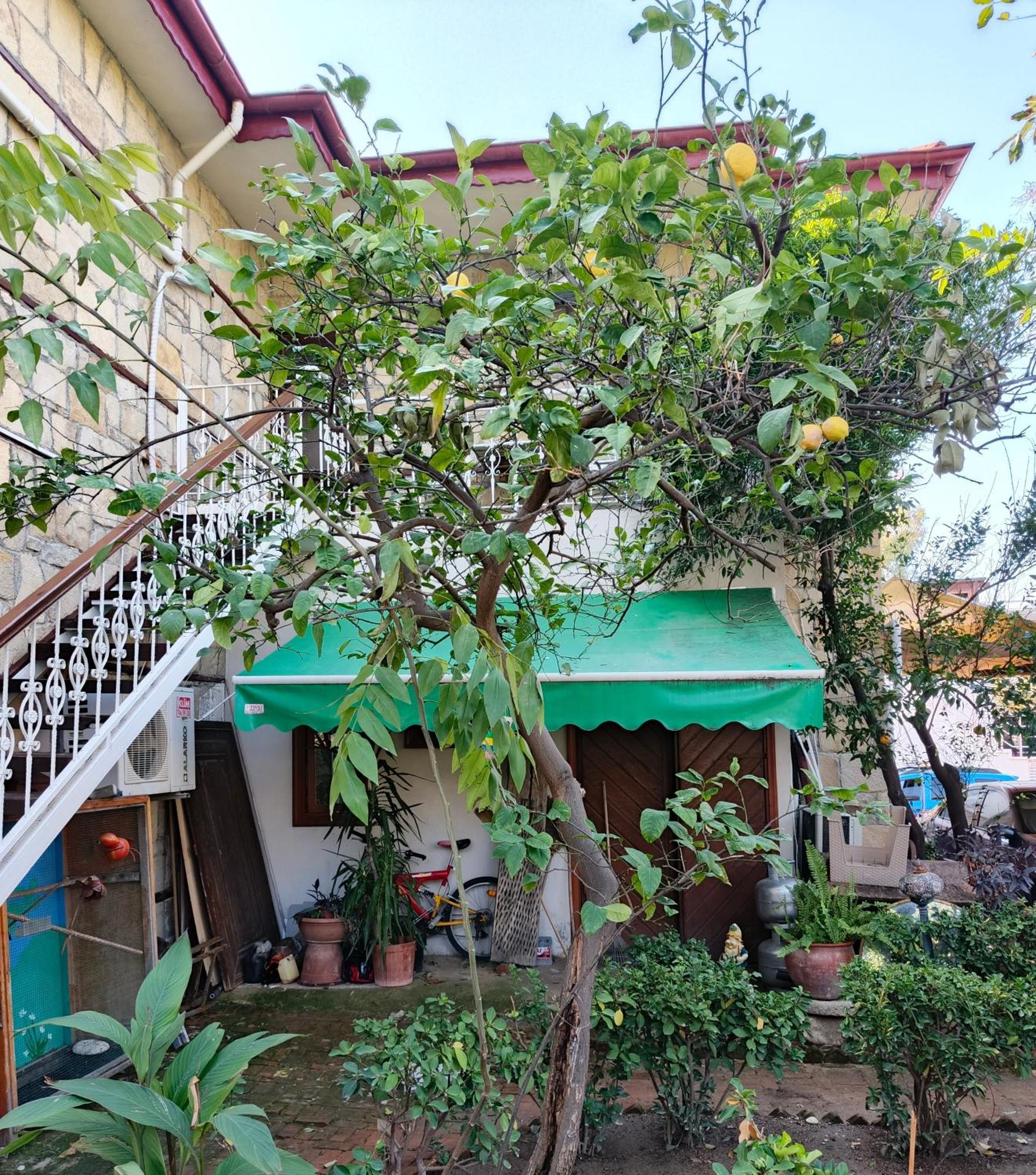 House Apartment Side