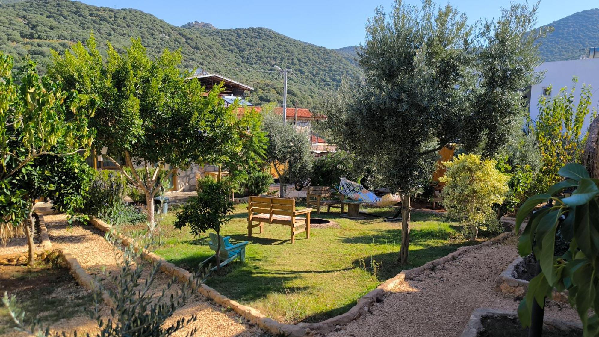 Joy Glamping Campsite
