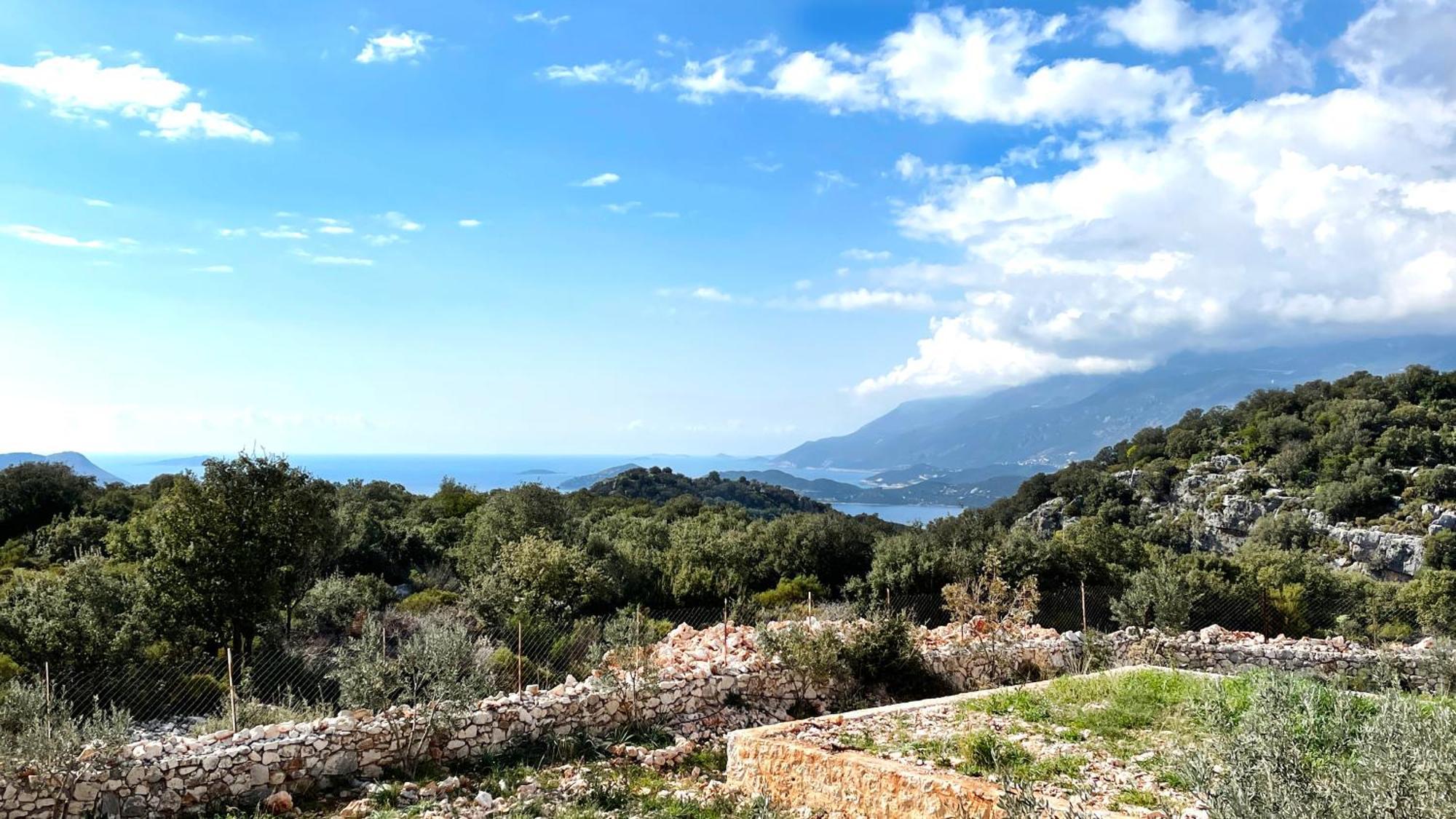 Ozy - Lacitrus Villa&hotel Hotel *