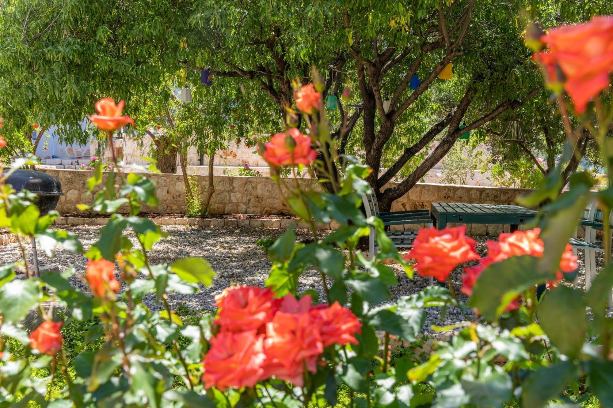 Hotel Ozy - Lacitrus Villa&hotel