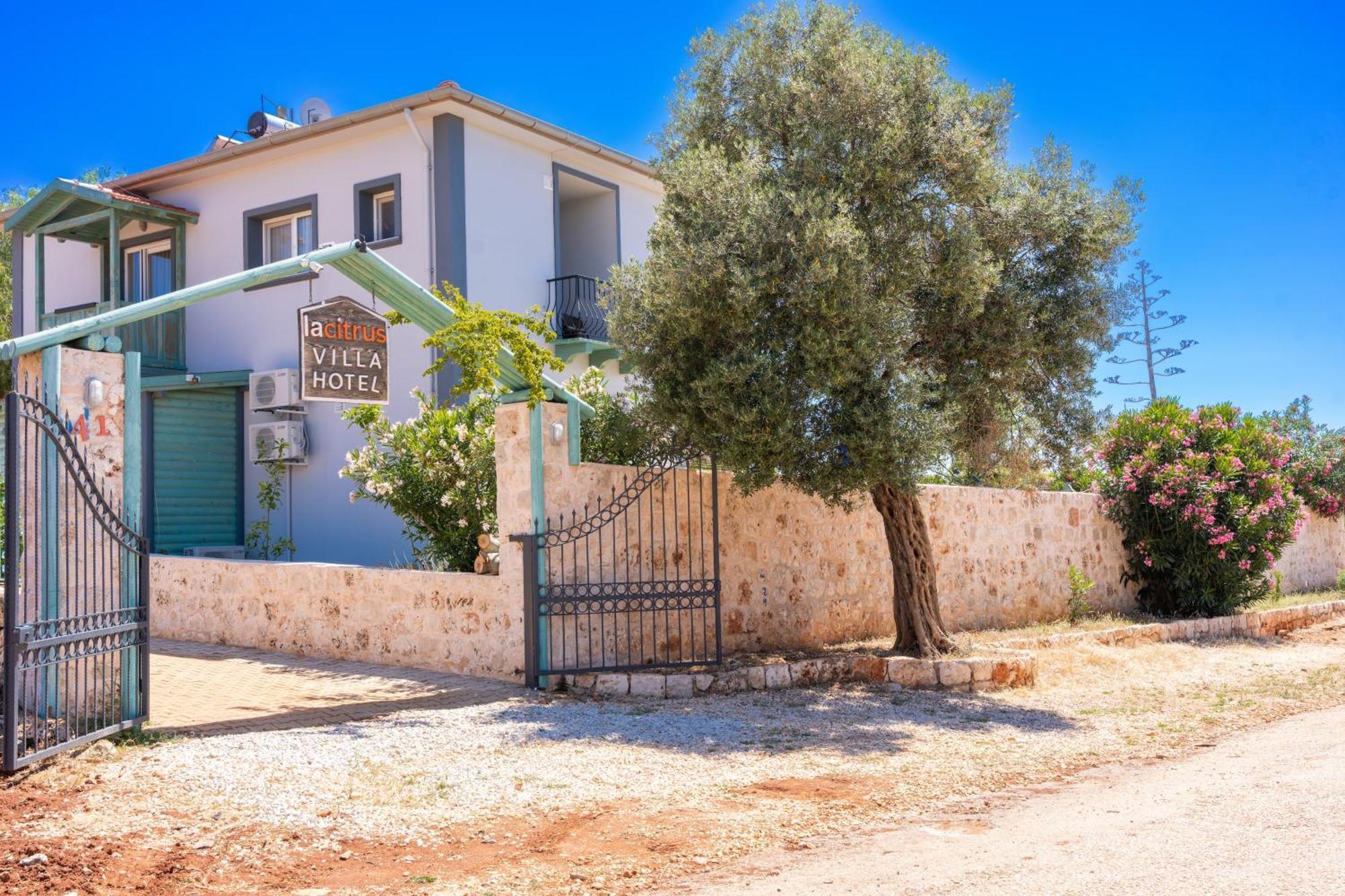 Ozy - Lacitrus Villa&hotel * Kas
