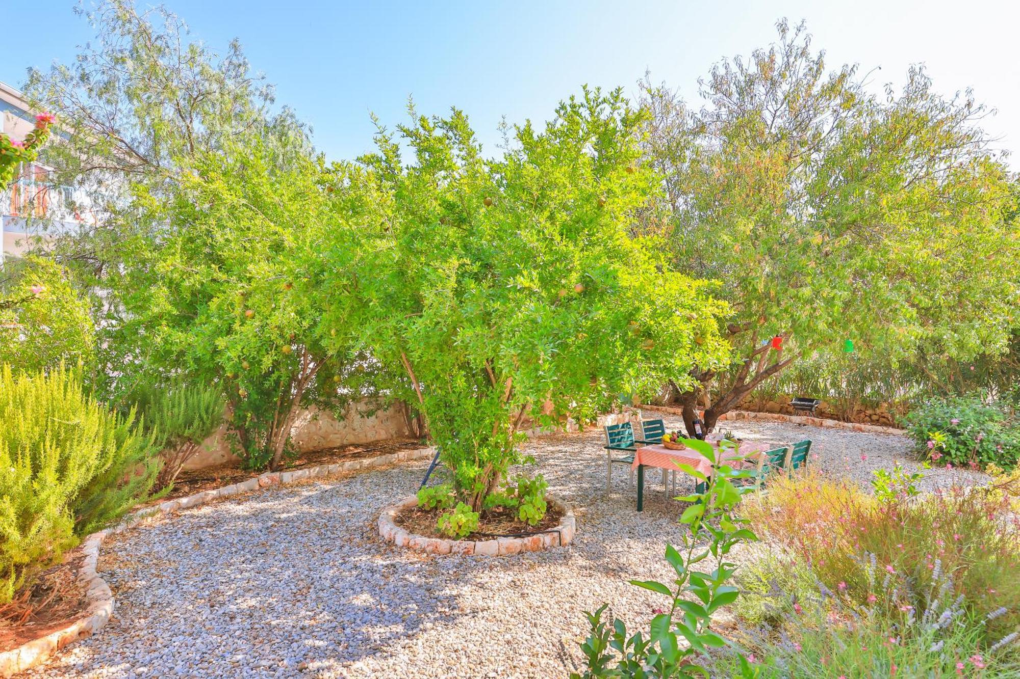 Ozy - Lacitrus Villa&hotel Hotel *