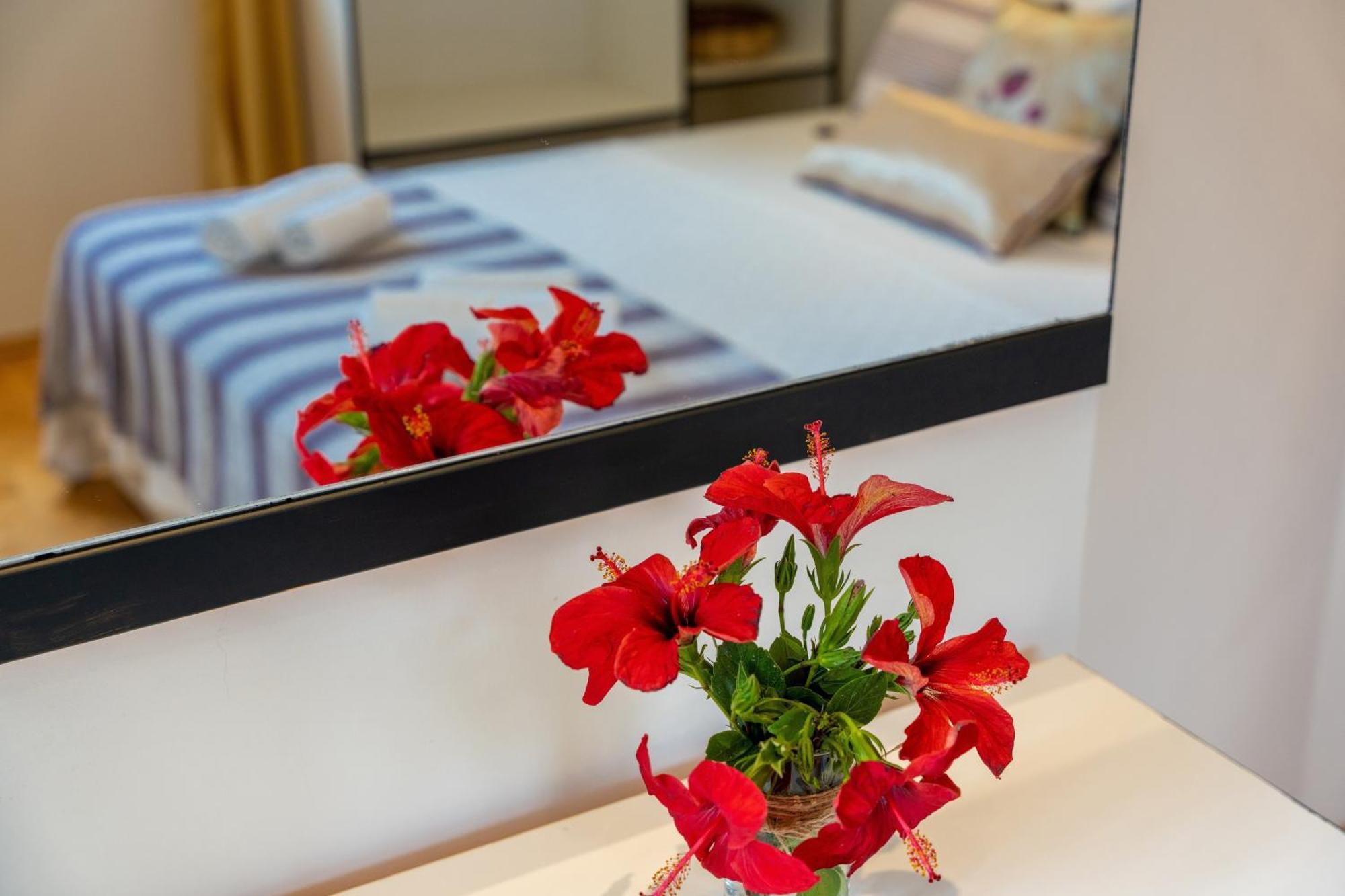 Ozy - Lacitrus Villa&hotel