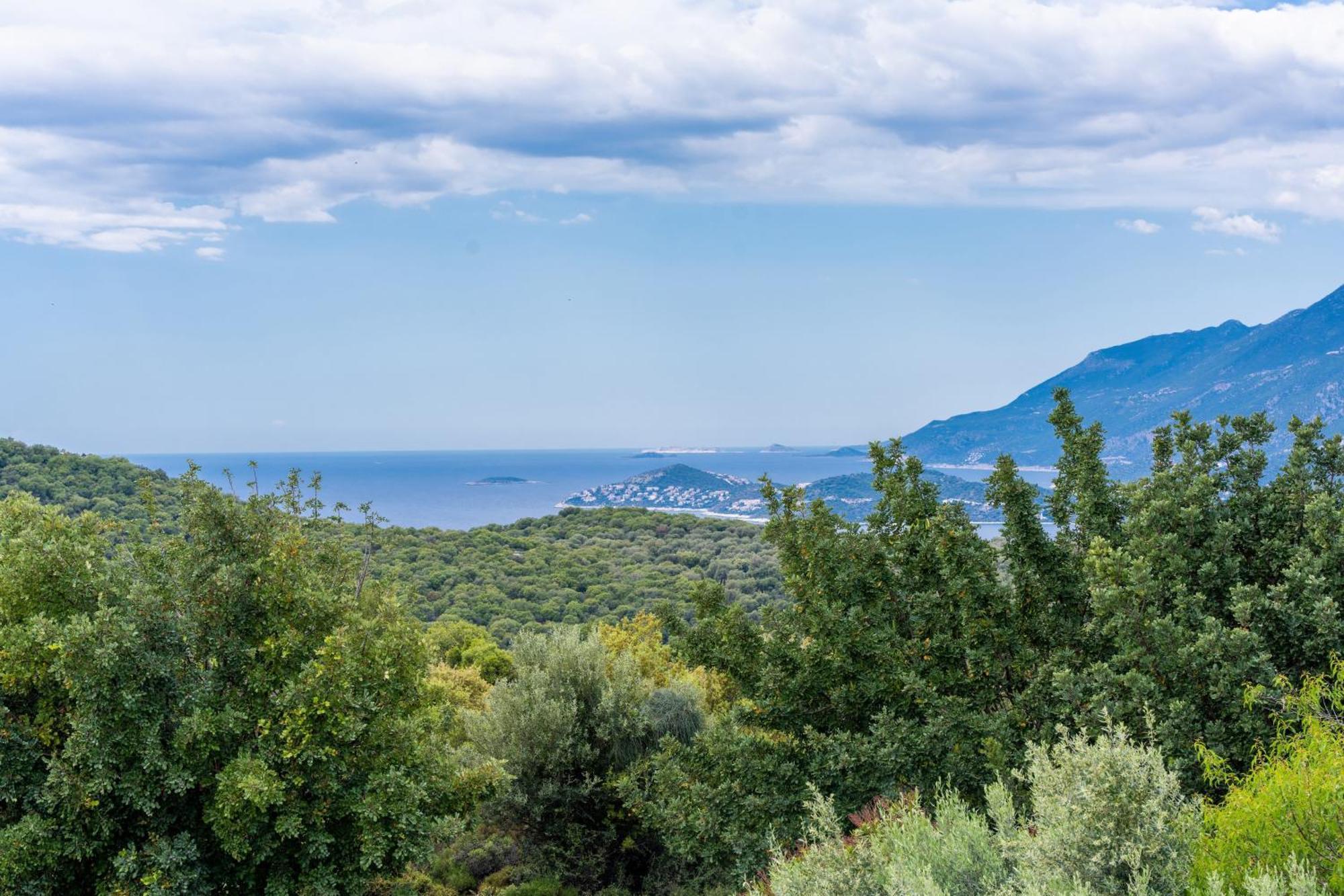 Ozy - Lacitrus Villa&hotel * Kas