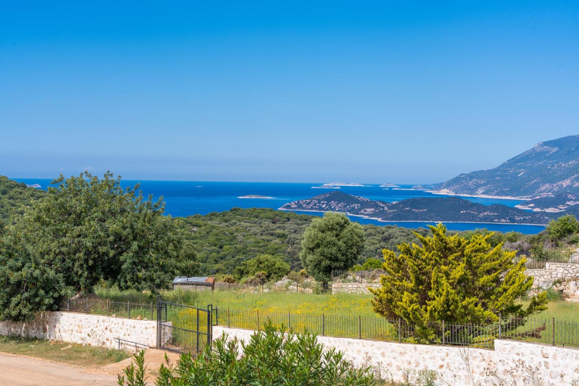 Ozy - Lacitrus Villa&hotel *