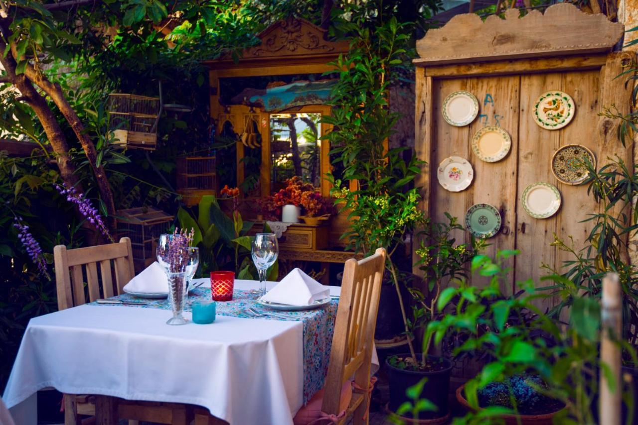 Fidanka Kalkan