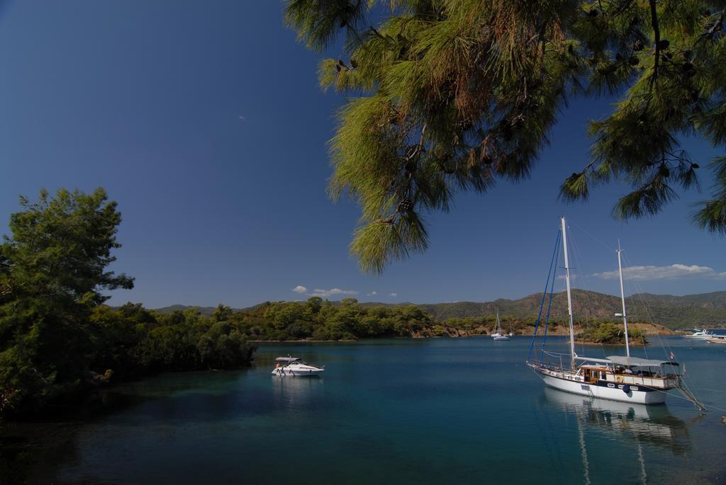 Lodge Kabak Avalon