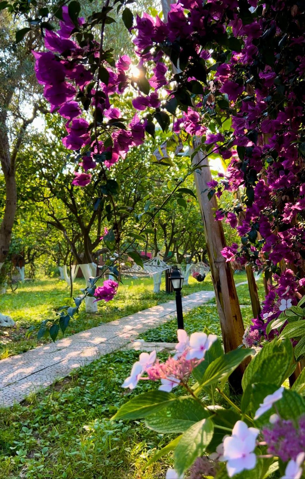 Holiday park Myland Nature