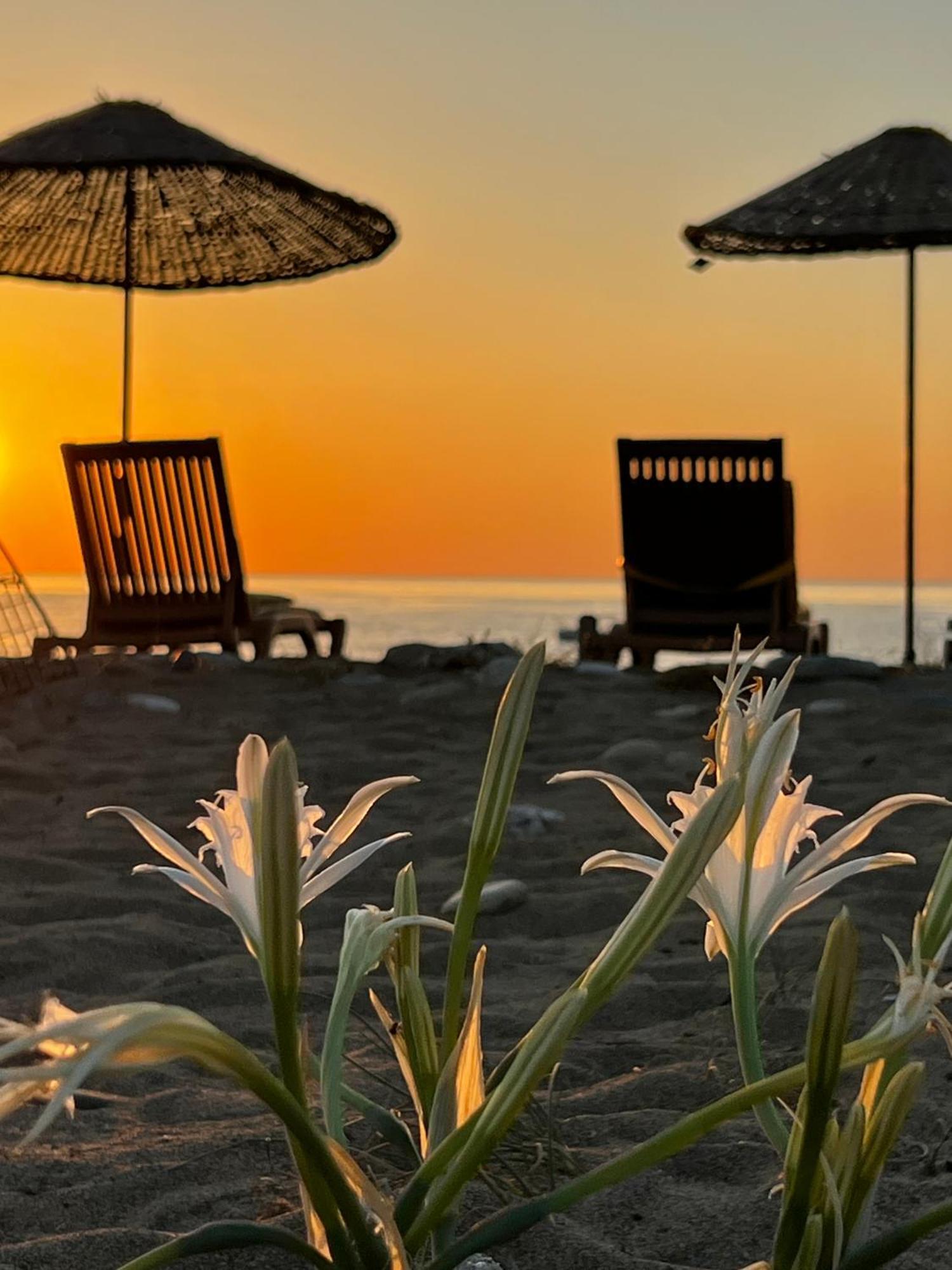 Holiday park Myland Nature Cirali